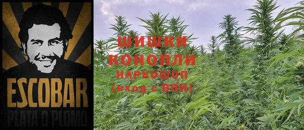 гидропоника Кукмор