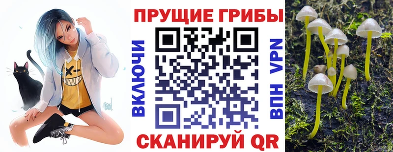 Псилоцибиновые грибы мицелий  сколько стоит  Лысково 